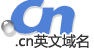 营销型网站策划_类型的网站_网站案例：这是.cn的中文国际域名!