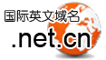 营销型网站策划_类型的网站_网站案例：这是.net.cn的英文国际域名!